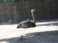 ZOO-Viden 067.JPG